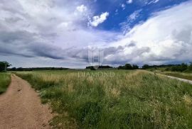 Kaštelir, poljoprivredno zemljište puno potencijala!, Poreč, Terrain