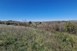 ISTRA, BUJE - Građevinsko zemljište na očaravajućoj lokaciji s panoramskim pogledom, Buje, Tierra