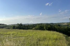 ISTRA, BUJE - Građevinsko zemljište na očaravajućoj lokaciji s panoramskim pogledom, Buje, Terreno