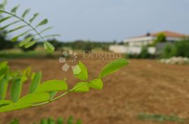 Građevinsko zemljište uz asfaltiranu cestu, Marčana, Land