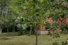Divan voćnjak a u njemu odmah useljiva i namještena kuća, Gvozd, Famiglia