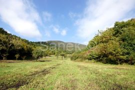 GOSPODARSKI POSJED NA PLEŠIVICI, Jastrebarsko - Okolica, Terrain