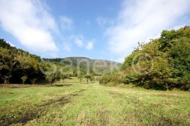 GOSPODARSKI POSJED NA PLEŠIVICI, Jastrebarsko - Okolica, Terra