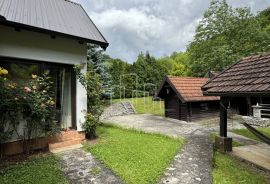 Luksuzna kuća sa uređenim zemljištem prodaja Ljubina Ilijaš, Ilijaš, House