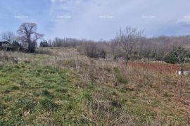 Građevinsko zemljište Prodaje se građevinsko zemljište, Pazin, Pazin, Land