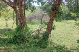 ISTRA,BARBAN (OKOLICA) - Građevinsko zemljište 3 kilometara od mora, Barban, Terra