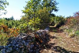 HITNO! SPUŠTENA CIJENA - ZEMLJIŠTE JURŠIĆI!, Svetvinčenat, Tierra