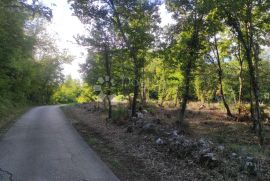 Građevinsko zemljište sa projektom i građevinskom dozvolom, Motovun, Terreno