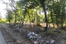 Građevinsko zemljište sa projektom i građevinskom dozvolom, Motovun, Terrain