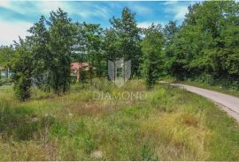 Istra,Motovun- okolica, zemljište s građevinskom dozvolom !, Motovun, Land