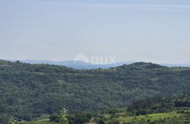 ISTRA, MOTOVUN - Čarobno zemljište s panoramskim pogledom od kojeg zastaje dah! Osama!, Motovun, Terreno