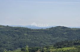 ISTRA, MOTOVUN - Čarobno zemljište s panoramskim pogledom od kojeg zastaje dah! Osama!, Motovun, Γη