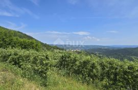 ISTRA, MOTOVUN - Čarobno zemljište s panoramskim pogledom od kojeg zastaje dah! Osama!, Motovun, Zemljište