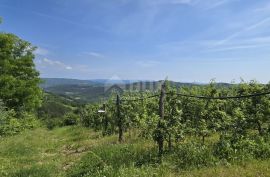 ISTRA, MOTOVUN - Čarobno zemljište s panoramskim pogledom od kojeg zastaje dah! Osama!, Motovun, Arazi