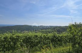 ISTRA, MOTOVUN - Čarobno zemljište s panoramskim pogledom od kojeg zastaje dah! Osama!, Motovun, Tierra