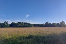 ISTRA, BARBAN - Prostrano poljoprivredno zemljište okruženo prirodom, Barban, Terrain