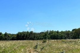Poljoprivredno zemljište Marčana - 846 m2, Marčana, Terreno