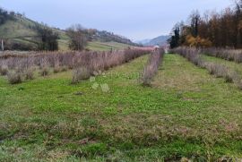 Prekrasne kuće u bajkovitom okruženju, Novi Marof, Casa