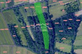 Mladenovac - Kovačevac - 47.81a ID#20834, Mladenovac, Terra