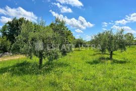 Prodaje se građevinsko zemljište u Filipani, Marčana, Tierra