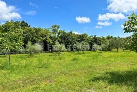 Prodaje se građevinsko zemljište u Filipani, Marčana, Land