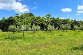 Prodaje se građevinsko zemljište u Filipani, Marčana, Land