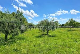 Prodaje se građevinsko zemljište u Filipani, Marčana, Arazi