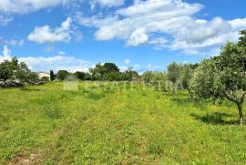 Prodaje se građevinsko zemljište u Filipani, Marčana, Terreno