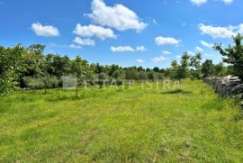 Prodaje se građevinsko zemljište u Filipani, Marčana, Land