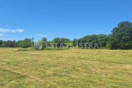 Cokuni, Marčana - mješovito građevinsko zemljište 7664 m2, Marčana, Land