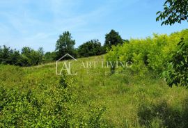 Istra, Novigrad, okolica - atraktivno građevinsko zemljište s projektom na mirnoj i lijepoj lokaciji, Novigrad, Terrain