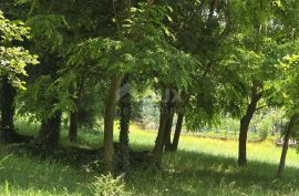 ISTRA, GROŽNJAN - Građevinsko zemljište u idiličnom i mirnom okruženju, Grožnjan, Terra