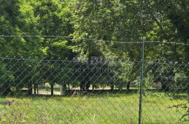 ISTRA, GROŽNJAN - Građevinsko zemljište u idiličnom i mirnom okruženju, Grožnjan, Terrain