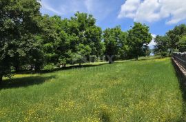 ISTRA, GROŽNJAN - Građevinsko zemljište u idiličnom i mirnom okruženju, Grožnjan, Γη