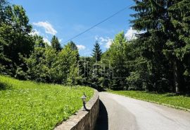 Vikend kuća Ilovice Trnovo prodaja, Trnovo, Kuća