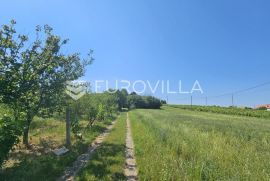 Erdut, kuća na prodaju 208 m2 sa zemljištem, ukupno 2489 m2, Erdut, Ev