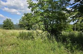 ISTRA, TINJAN - Građevinsko zemljište pogodno za naselje od 6 vila, Tinjan, Zemljište