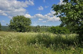 ISTRA, TINJAN - Građevinsko zemljište pogodno za naselje od 6 vila, Tinjan, Земля