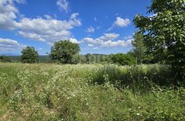 ISTRA, TINJAN - Građevinsko zemljište pogodno za naselje od 6 vila, Tinjan, Tierra