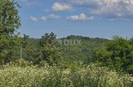 ISTRA, TINJAN - Građevinsko zemljište pogodno za naselje od 6 vila, Tinjan, أرض