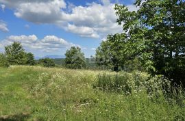 ISTRA, TINJAN - Građevinsko zemljište pogodno za naselje od 6 vila, Tinjan, Земля