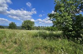 ISTRA, TINJAN - Građevinsko zemljište pogodno za naselje od 6 vila, Tinjan, Zemljište