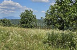 ISTRA, TINJAN - Građevinsko zemljište pogodno za naselje od 6 vila, Tinjan, Terra