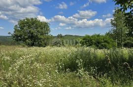 ISTRA, TINJAN - Građevinsko zemljište pogodno za naselje od 6 vila, Tinjan, Земля