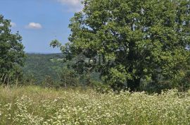 ISTRA, TINJAN - Građevinsko zemljište pogodno za naselje od 6 vila, Tinjan, Земля