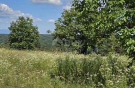 ISTRA, TINJAN - Građevinsko zemljište pogodno za naselje od 6 vila, Tinjan, Land