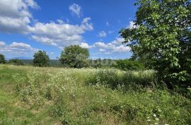 ISTRA, TINJAN - Građevinsko zemljište pogodno za naselje od 6 vila, Tinjan, Γη