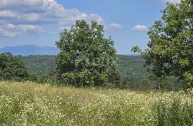 ISTRA, TINJAN - Građevinsko zemljište površine 1187 m2, Tinjan, Tierra