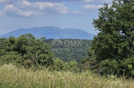 ISTRA, TINJAN - Građevinsko zemljište površine 1187 m2, Tinjan, Land