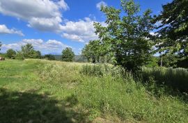 ISTRA, TINJAN - Građevinsko zemljište površine 1187 m2, Tinjan, Land